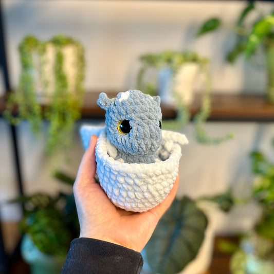 Hatching Baby Dragons