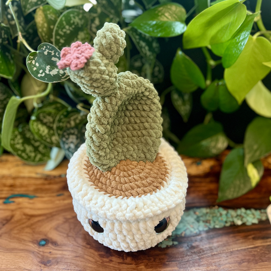 Cactus - XL
