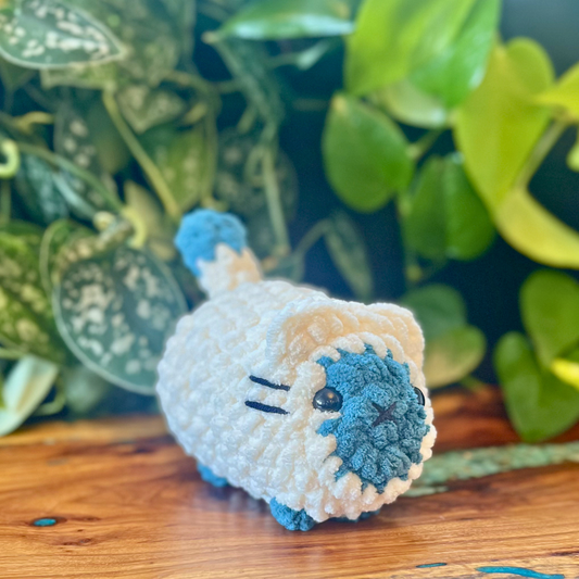 Loaf Cat - Cream w/ Blue Face Spot