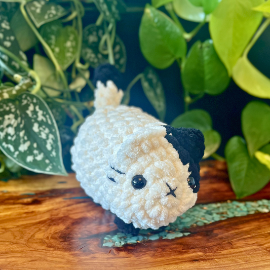 Loaf Cat - Cream w/ Black Ear