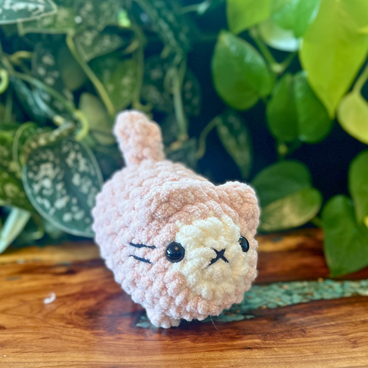 Loaf Cat - Pink w/ White Face Spot