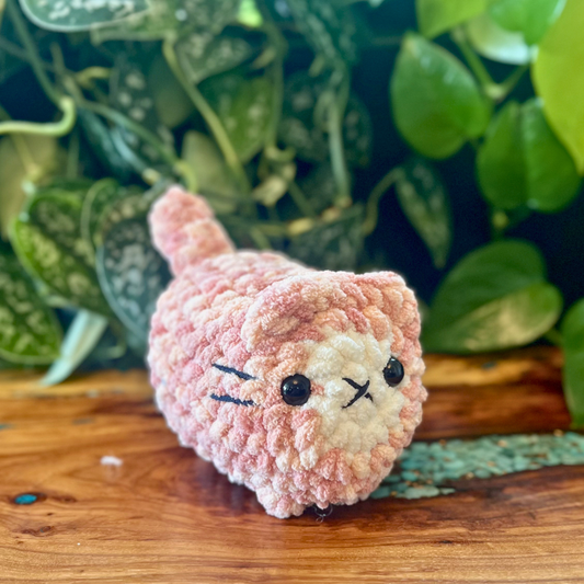 Loaf Cat - Multicolor Pink w/ White Face