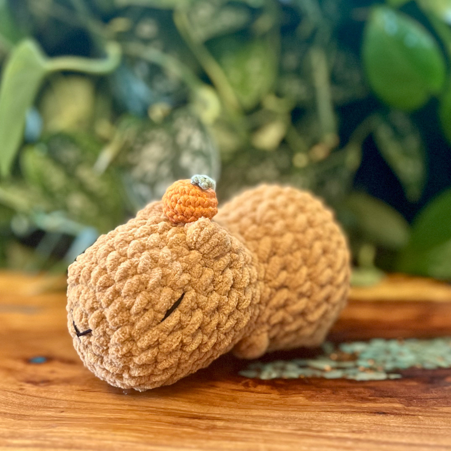 Capybara w/ Orange