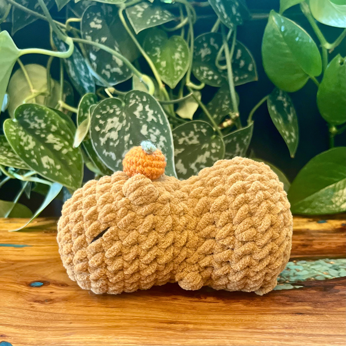 Capybara w/ Orange