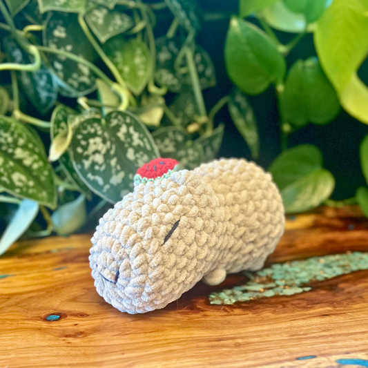 Capybara w/ Watermelon