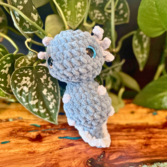 Baby Axolotl - Blue Eyes