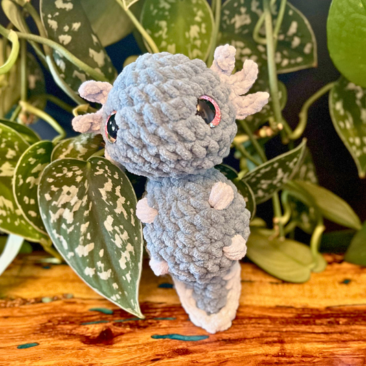 Baby Axolotl - Pink Eyes