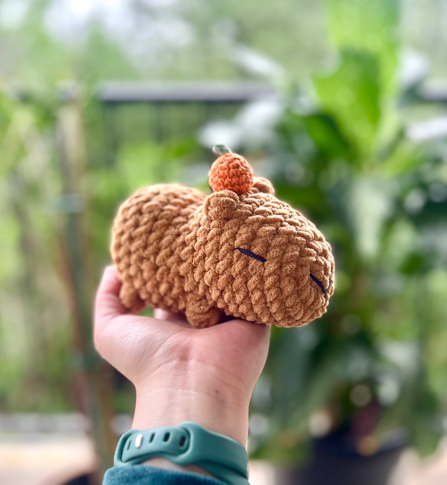 Capybara w/ Orange