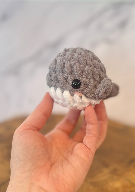 Baby Whale
