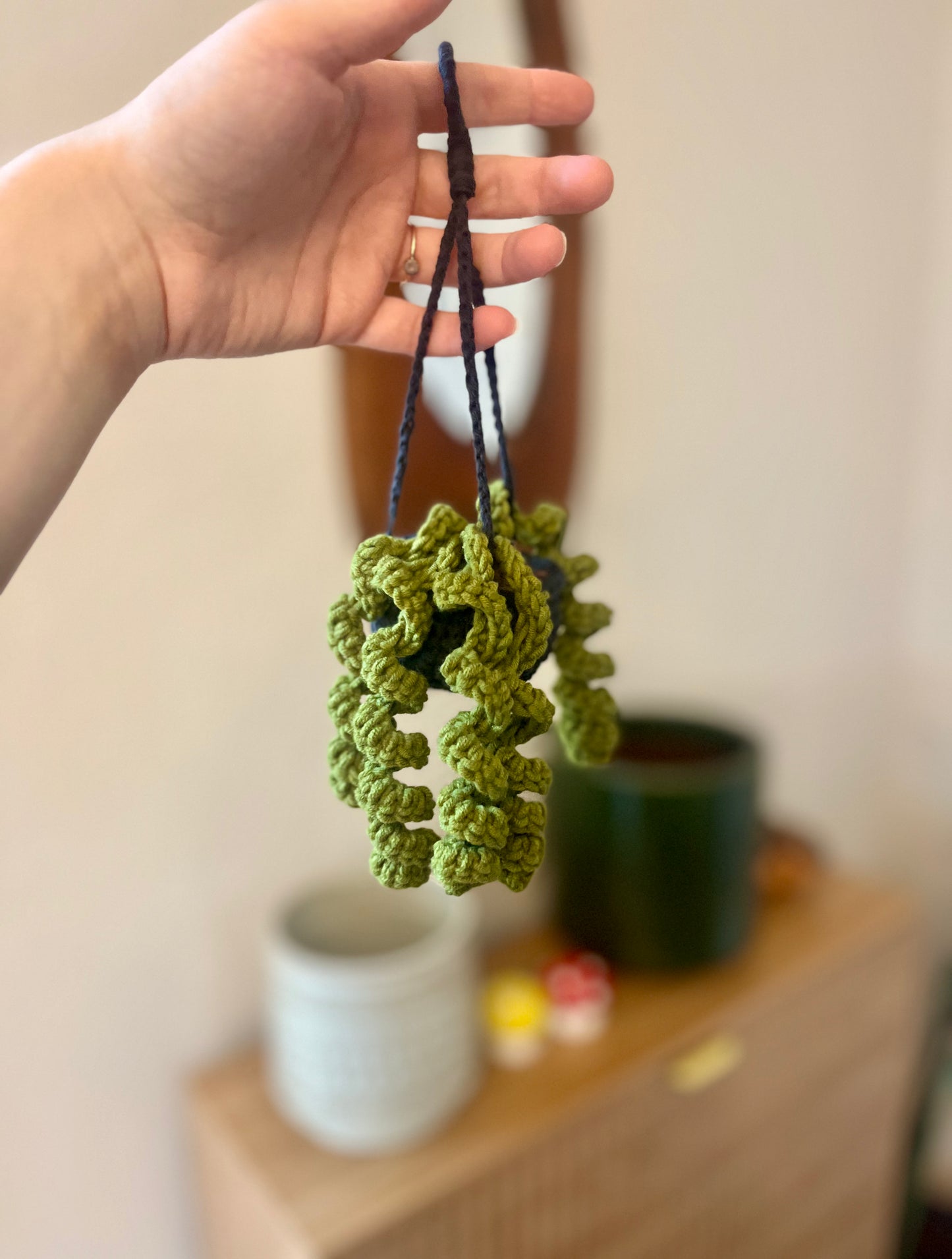 Hanging Plant - Small