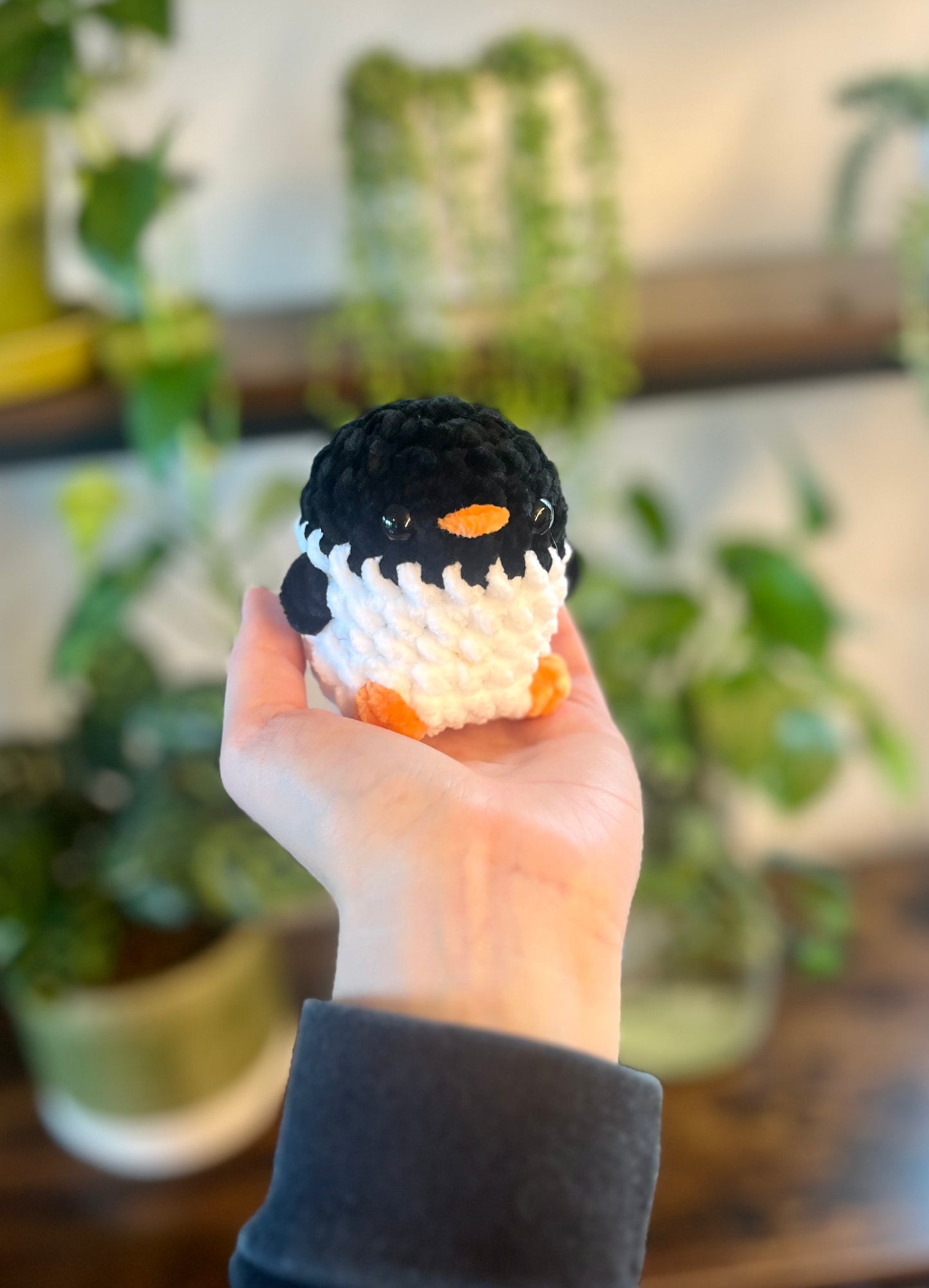 Baby Birds