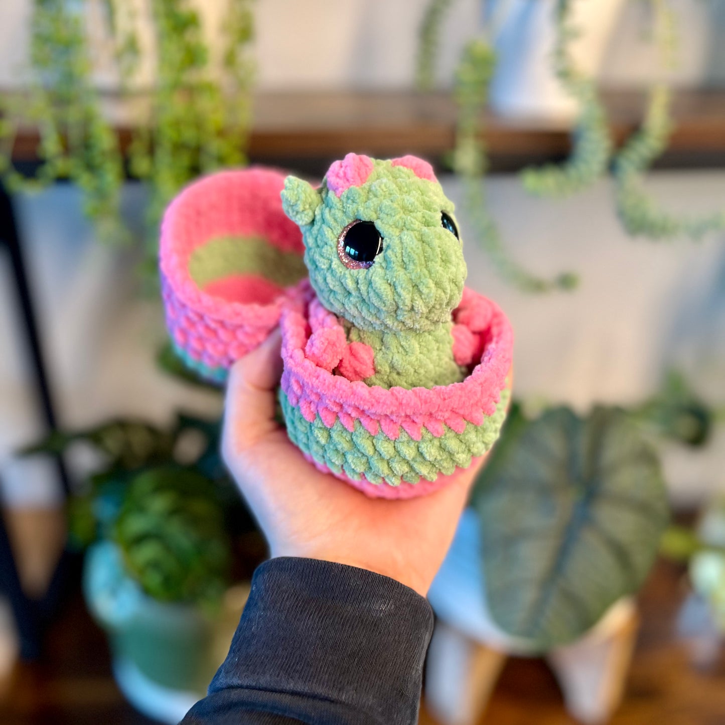 Hatching Baby Dragons