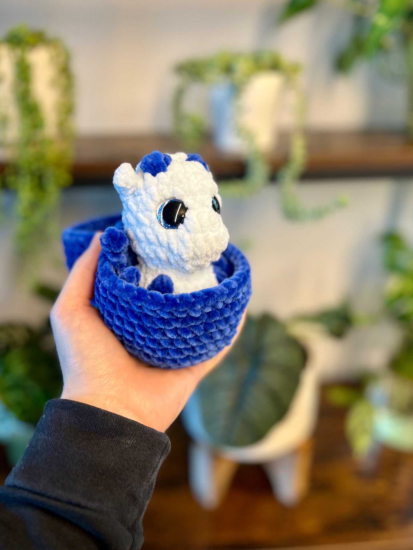 Hatching Baby Dragons