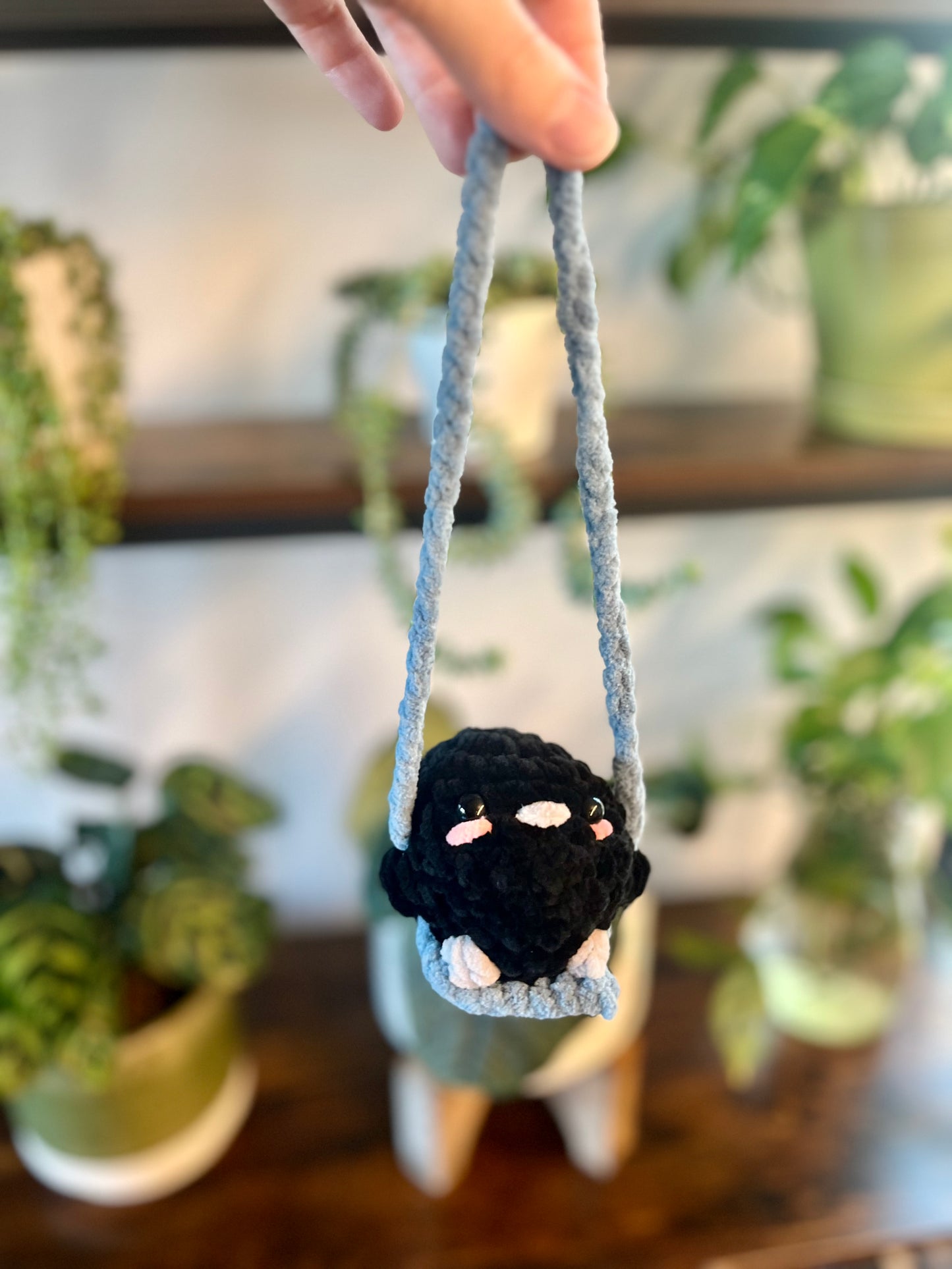Swinging Birds