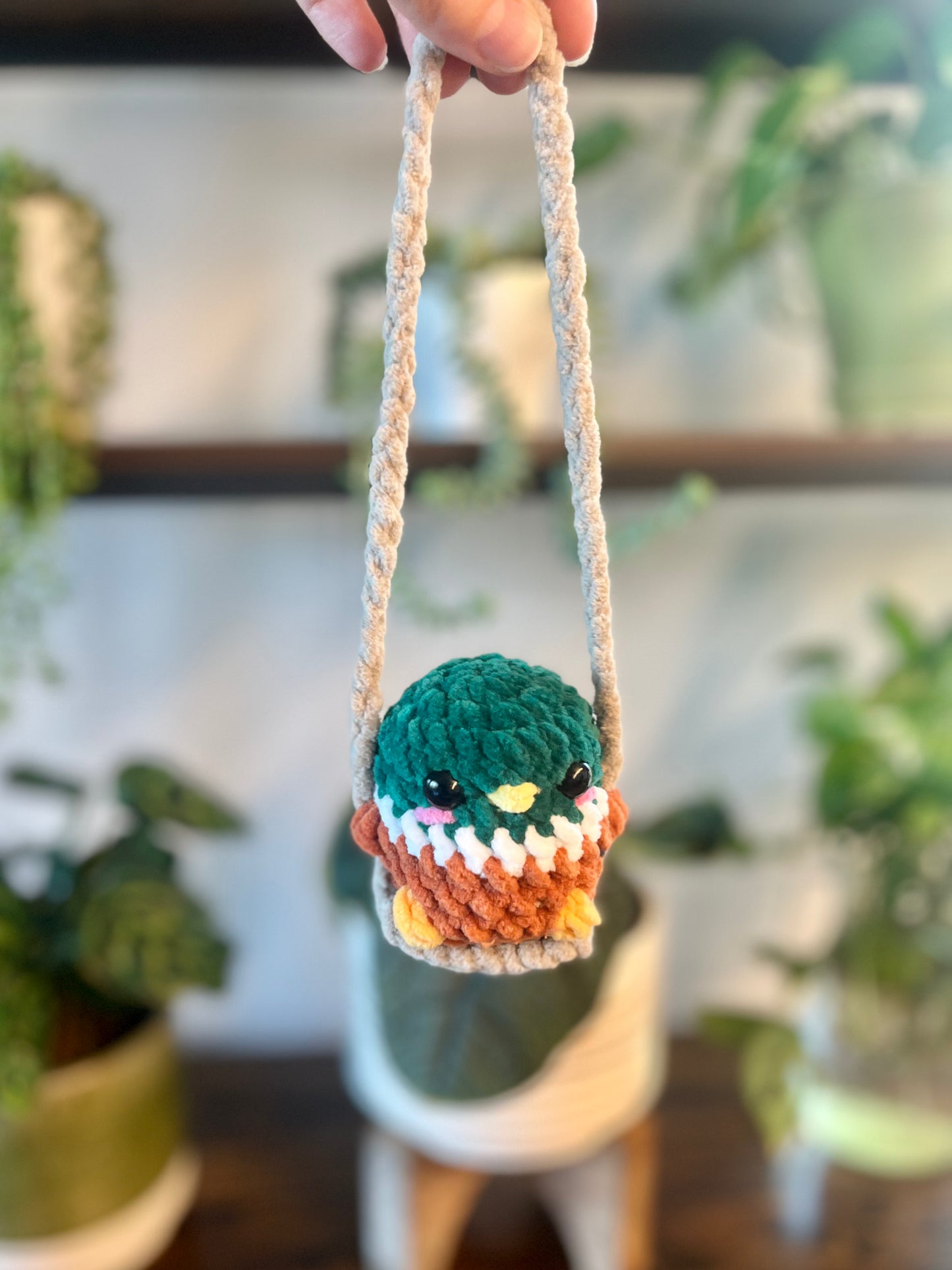 Swinging Birds