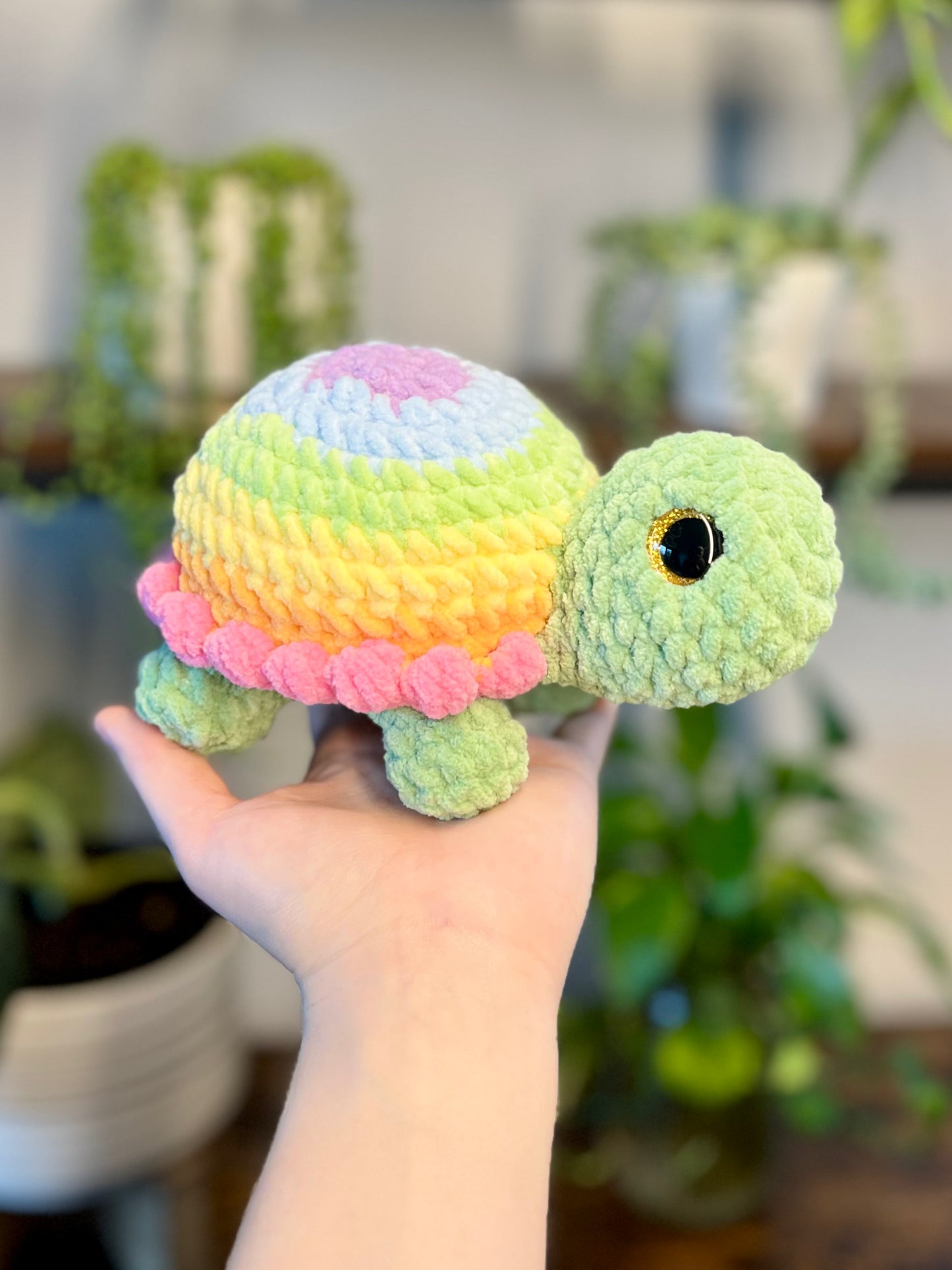 Rainbow Turtles