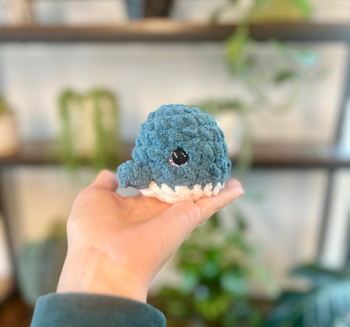 Baby Whales