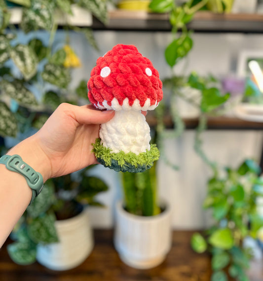 Mushroom