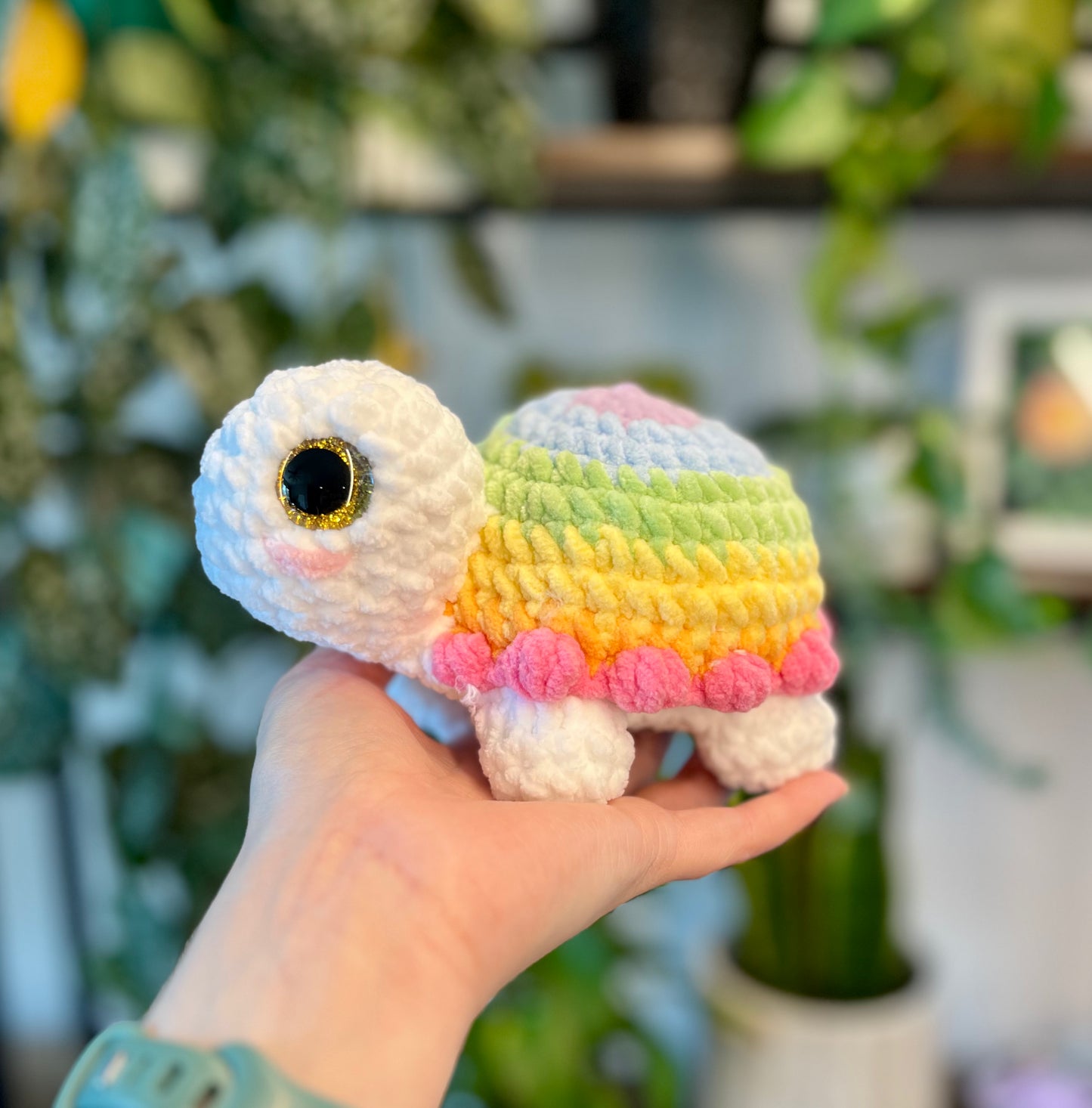 Rainbow Turtles
