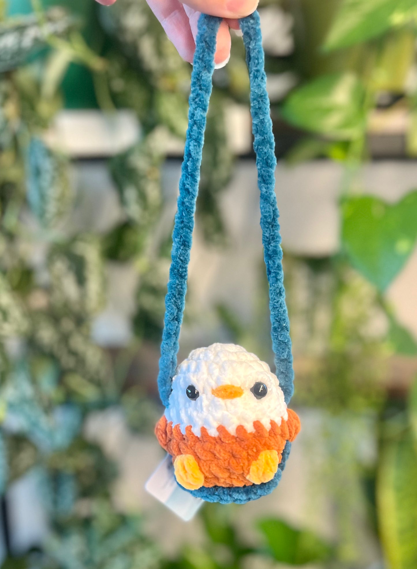 Swinging Birds