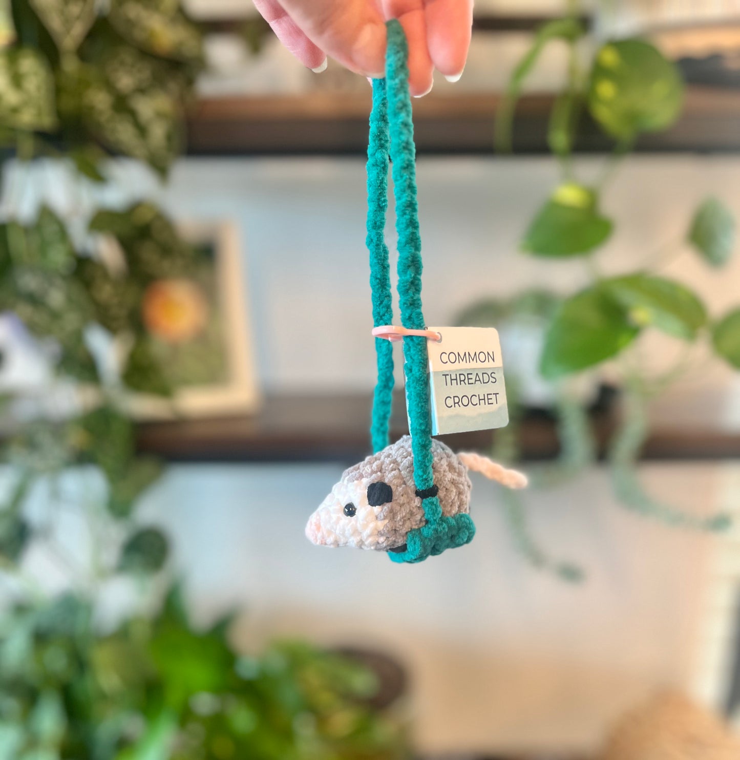 Swinging Birds