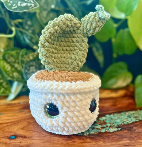 Cactus